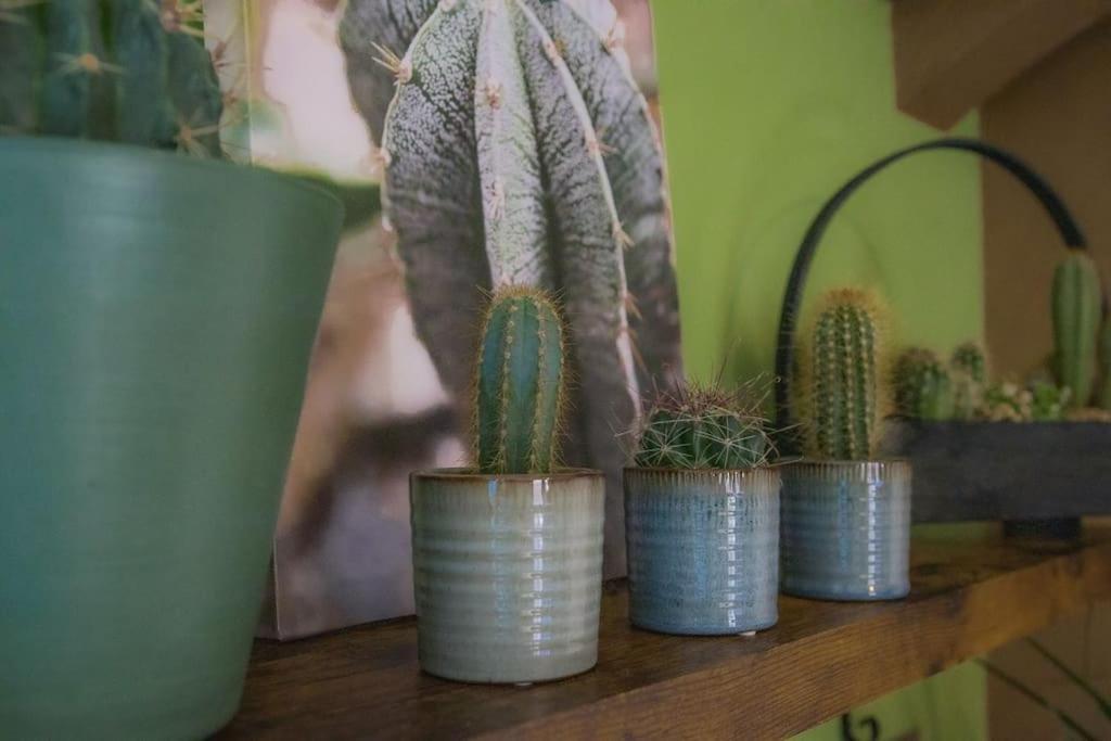 Coin De Nature En Centre-Ville Троа Екстериор снимка