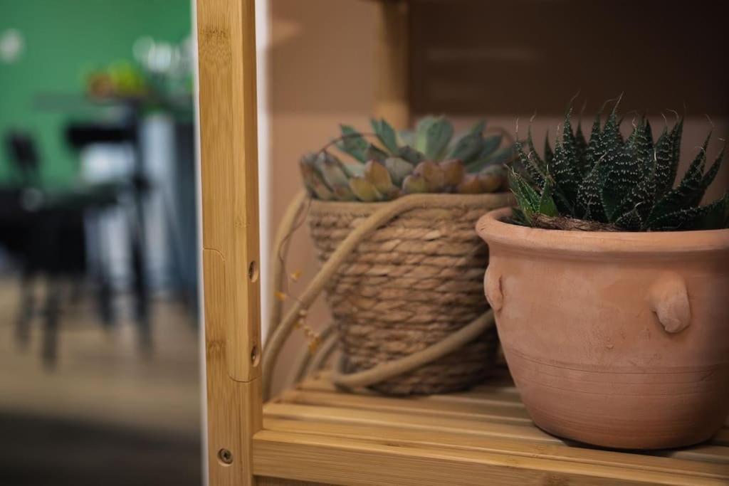 Coin De Nature En Centre-Ville Троа Екстериор снимка